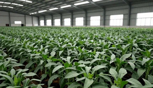 渠道供货：供应链优化中的使用与维护建议